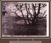 desktop theme landscapes, screenshot WINDOWS 1